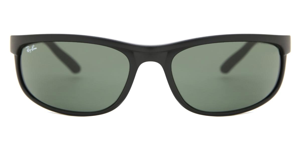 predator 2 polarized sunglasses